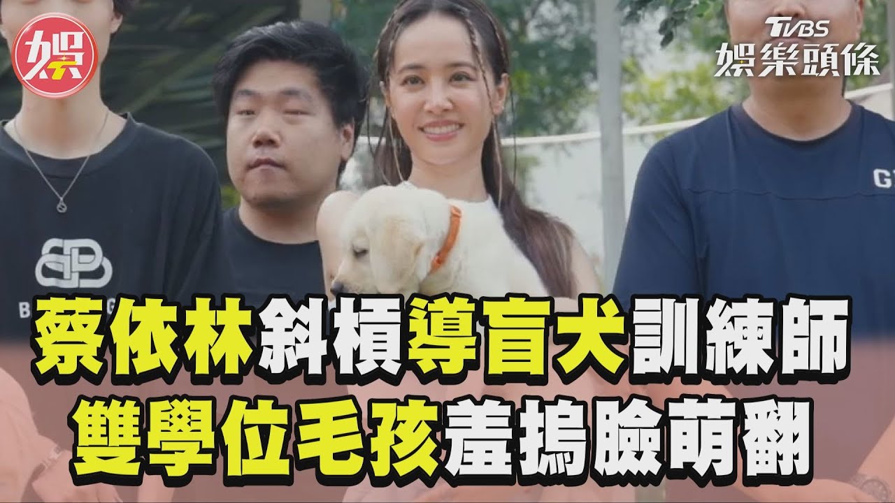 影音／蔡依林被「學霸級」導盲犬萌翻　讚訓練師造福殘疾人士：愛心回饋