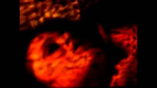 Death In June - A Slaughter Of Roses