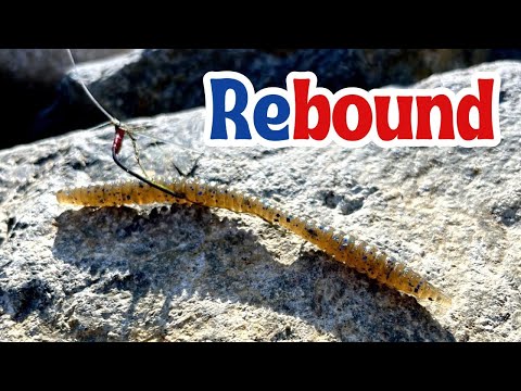 Deps Rebound Stick: Finesse Bass Fishing Magic with a Wacky Rig!