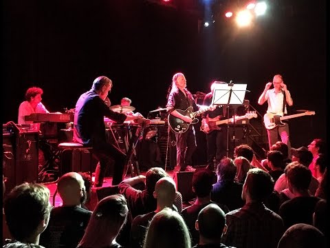 Swans (The Knot) Live at MHoW in Brooklyn  on 7/30/2016