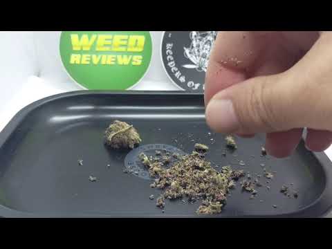 Devils Breath Strain