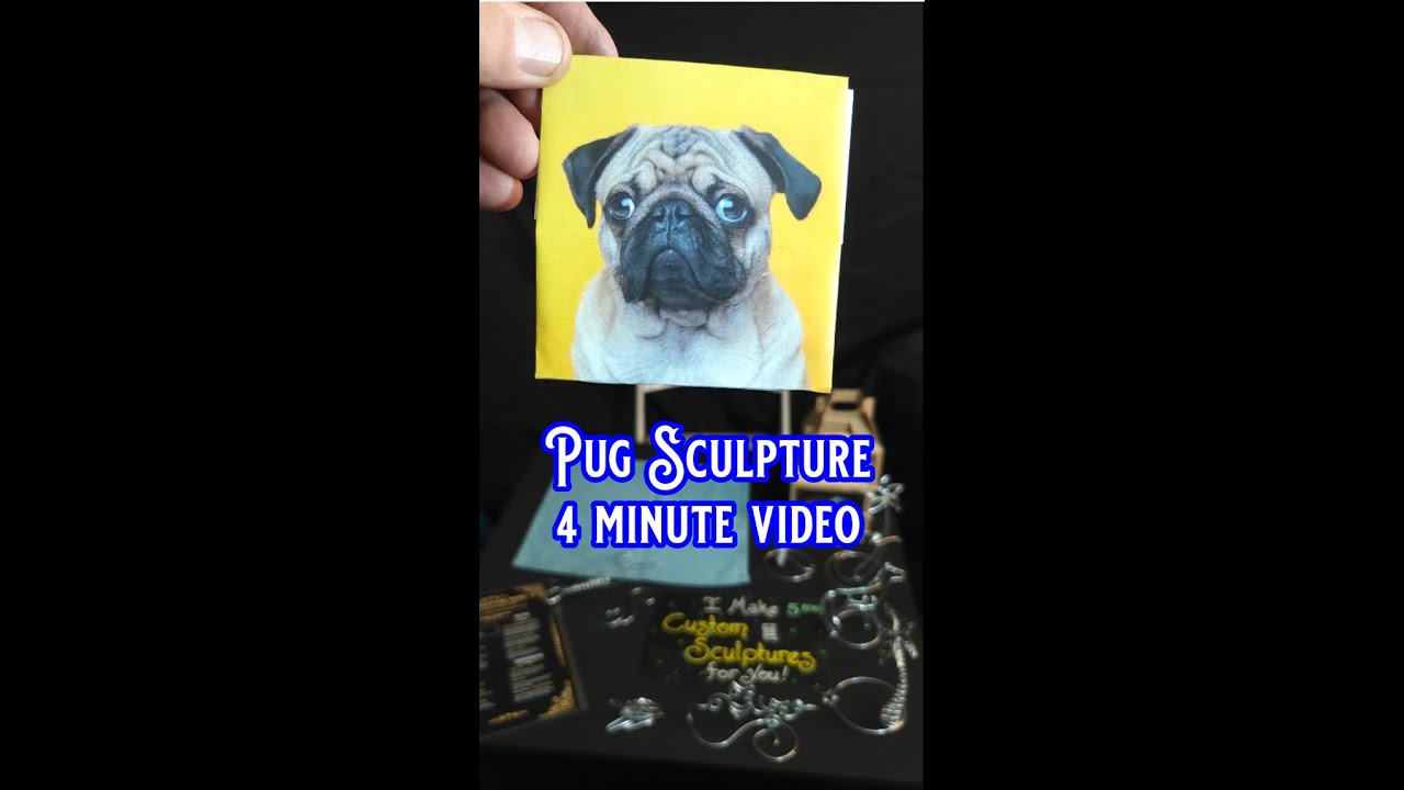 Promotional video thumbnail 4 for Wire Sculpture Live