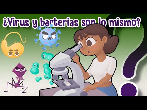 What is the difference between viruses and bacteria? - CuriosaMente 226