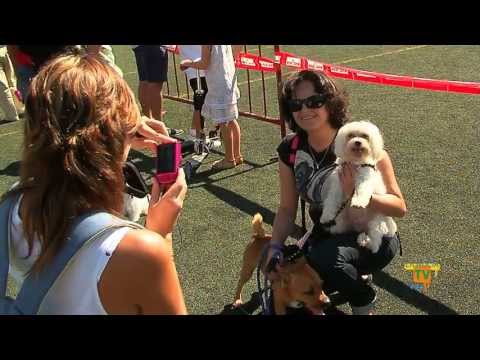 03/09/13 – El IV Concurso Provincial Canino de la Nucía se celebrará el domingo 15 de Septiembre