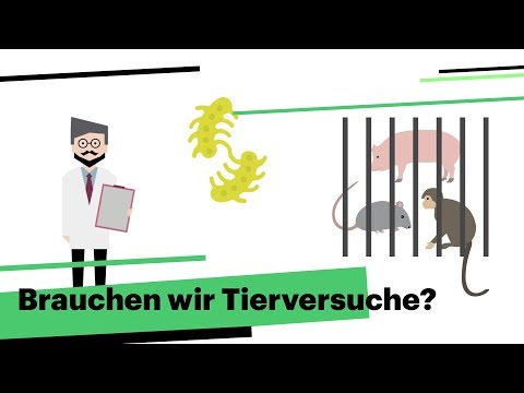 Obstruktive portale Hypertension Hypertension Schritt 3 und Behinderung