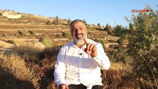 "צבי יחזקאלי: פצצות אטום טנקים טילים ומעצמות שעורבים ומחכים שנרים דגל לבן... אבל אנחנו המנצחים!!!"
