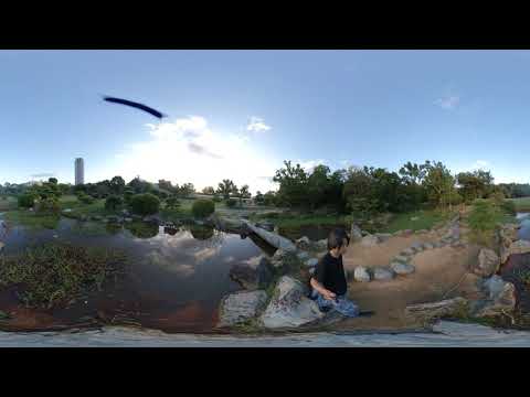 VID 20191004 170410 00 明石城跡公園14