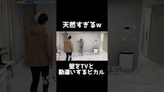 壁をテレビと勘違いするヒカルが天然すぎたww