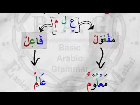 Basic Arabic Grammar - Lecture 20: Root Letters | @Quran_Flux