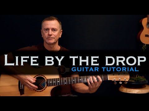 Life by the drop Stevie Ray Vaughn guitar lesson tutorial