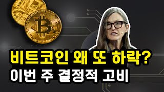  비트코인 주봉 마감 앞두고 왜 또 조정 받았을까? 이번 주 큰 변동성 이끌 수 있는 3가지 핵심 변수 이더리움 리플 솔라나