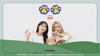Download lagu MAMAMOO - DangDang應援 mp3 Download lagu MAMAMOO - DangDang應援 mp3