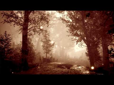 cosmic passenger:sepia