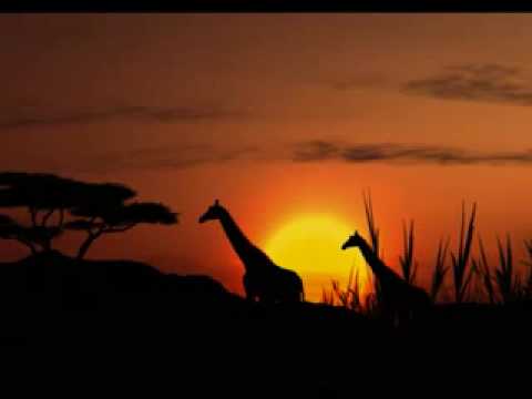 Amanda Strydom - Halala Afrika (Live)