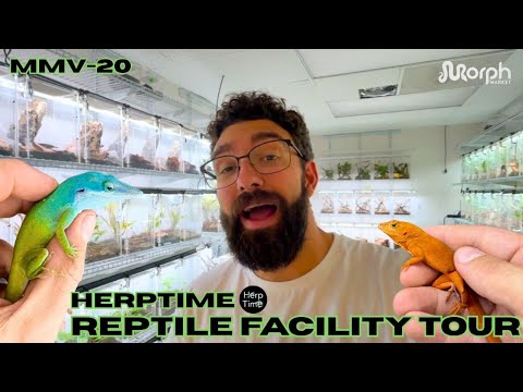 Crazy Private Reptile Facility Tour With HerpTime