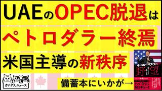 4.29 UAEがOPEC脱退したのは、単なる産油国のことではなく、ペトロダラー体制終焉後の新たな世界秩序の一歩だった