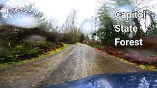 A Moody Rain-Soaked Drive Deep Into Capitol State Forest