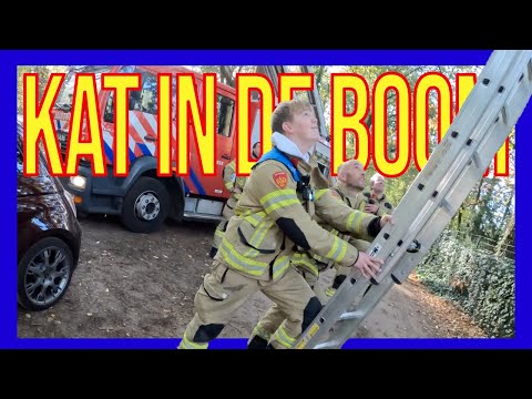 Kat in de boom  - VOLUNTEERS DUTCH FIREFIGHTERS -