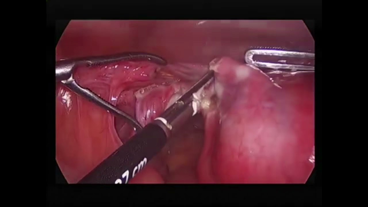 Fernando Santana Peña-9