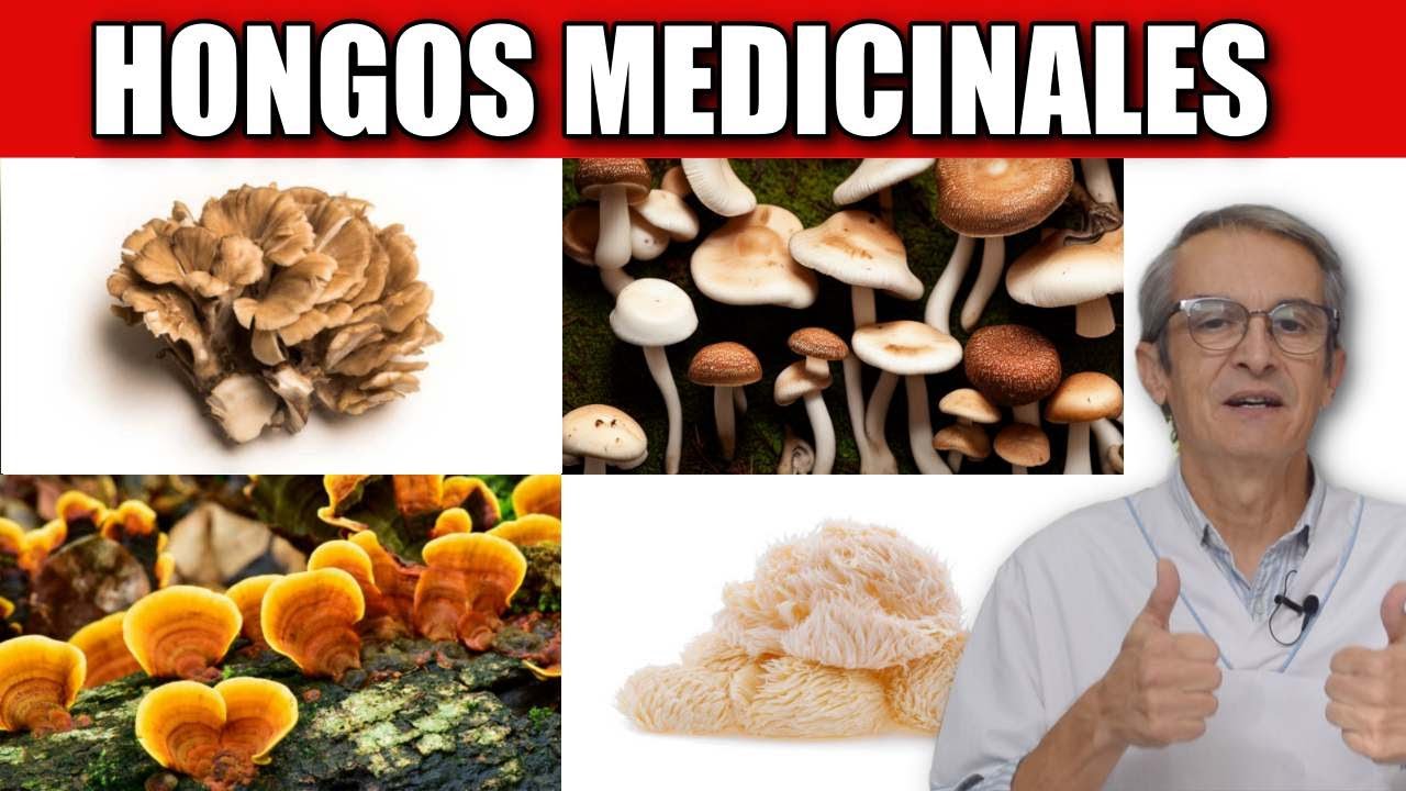8 BEST EDIBLE MUSHROOMS: BENEFITS supported by SCIENCE