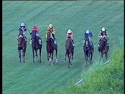 Galoppo 20/07/2019 - 3ª corsa
