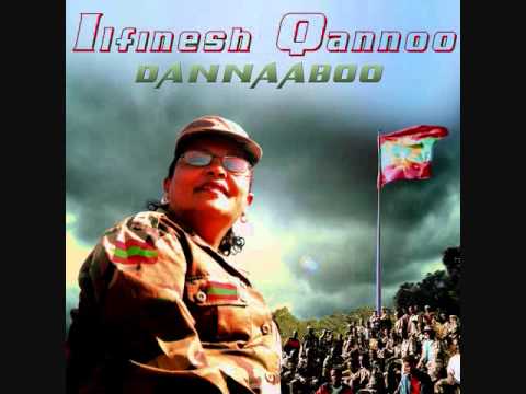 MAQAA OROMOTIN ITOOPHIYAAF FALMITAA? ILFINESH QANNOO