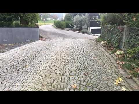 263.  "Mein morgendlicher Pfänder-Aufstieg!"