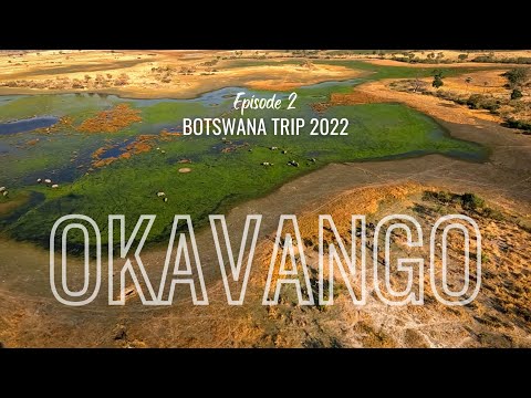 OKAVANGO DELTA from above - Botswana Trip 2022 | Episode 2