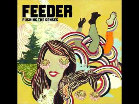 Frequency - Feeder