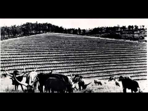 Icyifuzo (+lyrics) - Sipiriyani Rugamba & Amasimbi n'Amakombe, 1984 - Rwanda