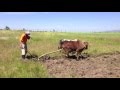 Sowing Seeds On Good Soil