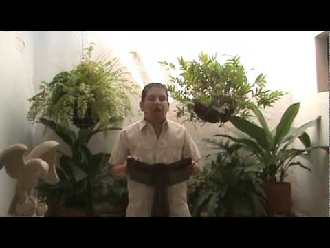 EVANGELIO DIARIO 12 DE AGOSTO 2011 - PARROQUIA LA SAGRADA FAMILIA