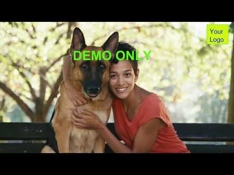 DOG TRAINING ISP