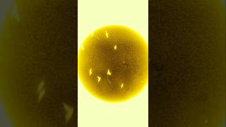 Apontei meu Telescópio Solar para a nossa estrela o Sol