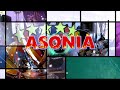 ASONIA Gejug Bumi Edisi Sindang Kasih 2