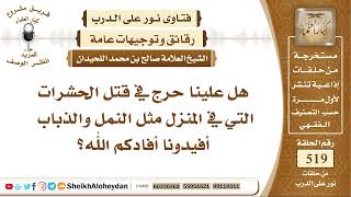 صورة 6463 - حكم قتل الحشرات والذباب المؤذي - نور على الدرب