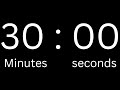 30 Minutes Countdown Timer TIMER FOR SUCCESS ExactTimer ExactTimer