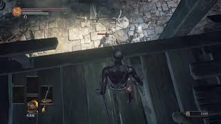 【死んだら即終了】「ダークソウル3」全裸武器一筋男チャレンジ