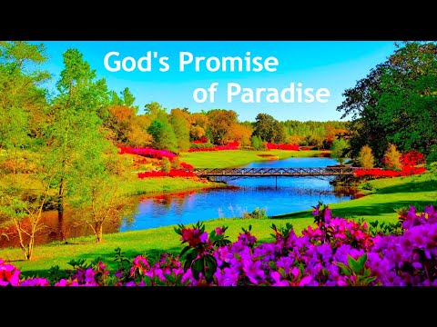 God´s Promise of Paradise !  -  JW Song 145