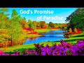 God´s Promise of Paradise !  -  kingdom melody 145
