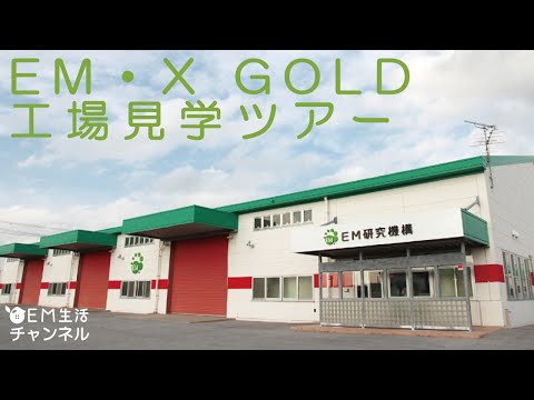 Eupemphix natteeriについて詳しく解説