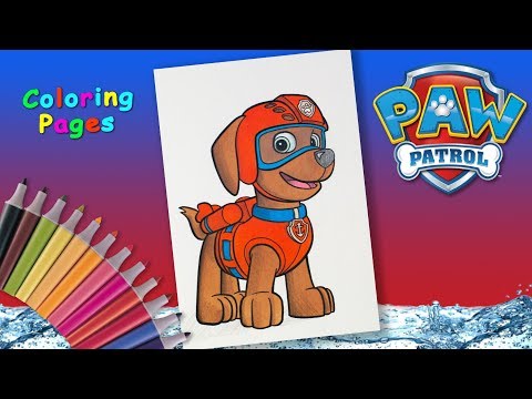 Paw patrol Coloring Page #forKids #Howtodraw Zuma from #PawPatrol Paw Patrol Pups. Video