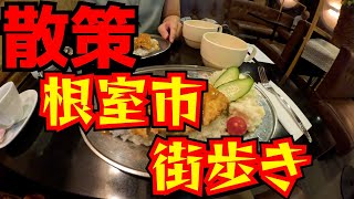 Strolling around Nemuro City. I ended up not being able to eat Hanasaki crab.