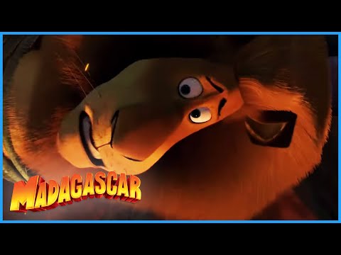 DreamWorks Madagascar | It Tastes Like Chicken! | Madagascar  Escape 2 Africa Movie Clip