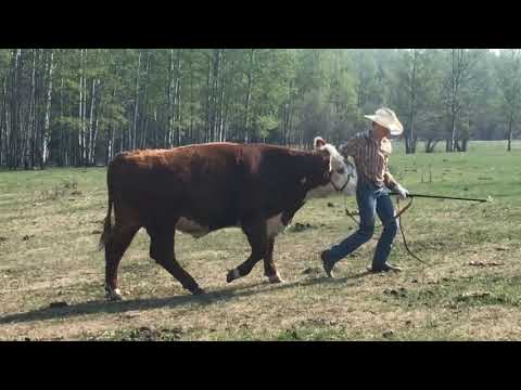 Clem Hotte and Wayne