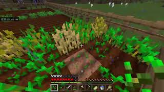 暇潰しマイクラ