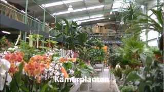 preview picture of video 'Home & Gardenpleasure Eliassen, Ammerzoden'