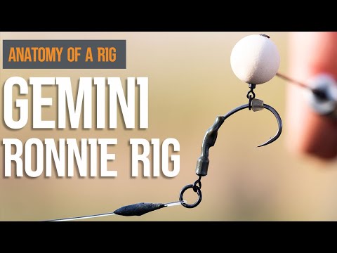 The Ronnie Rig | Using Gemini tidy booms!