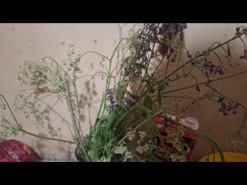 БАРТЕЗ — стрим