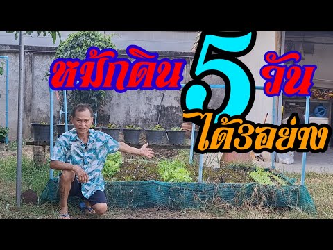 เหลือเชื่อหมักดิน5วันได้3อย่าง